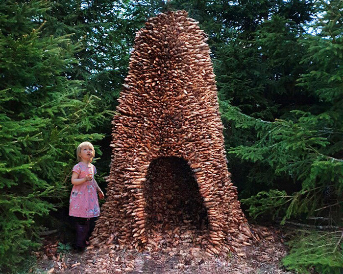 ulf mejergren architects assembles thousands of spruce cones into primitive hut in sweden
