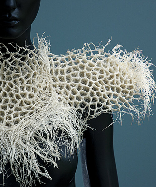 zena holloway launches a collection of bio-designs grown entirely from grass root